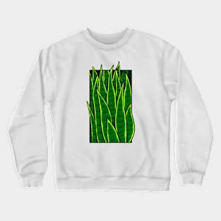 Vintage doodle illustration of Sansevieria Crewneck Sweatshirt